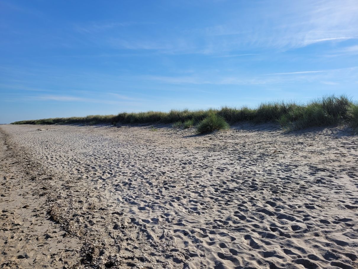 Der traumhafte Strand mit Dünen bei Schillig - Nordsee