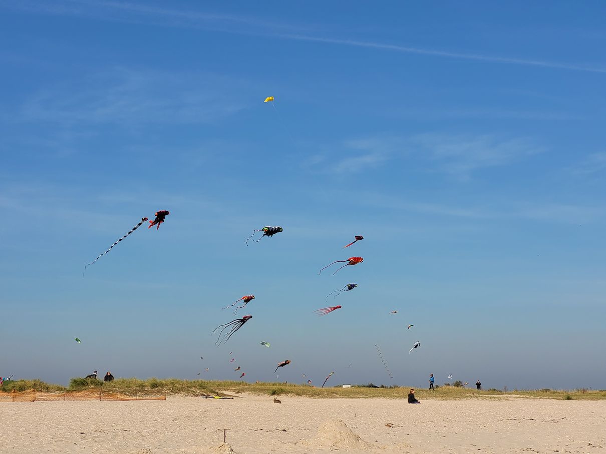 Drachen über den Dünen von Schillig