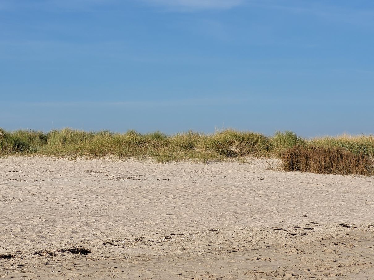 Dünen von von Schillig - Nordsee I