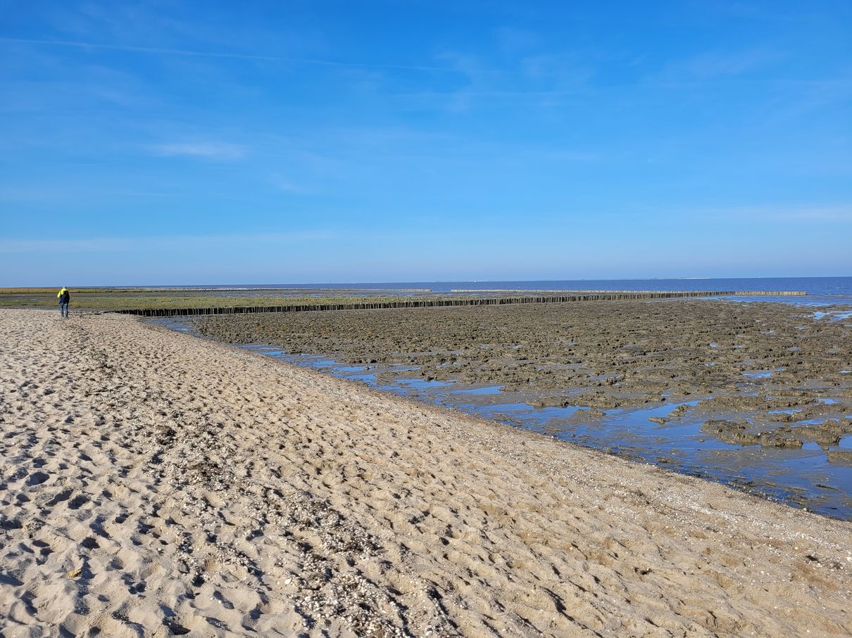 Watt und Strand bei Schillig
