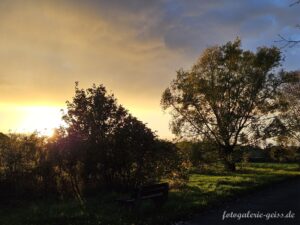 Abendsonne über der Maaraue bei Mainz