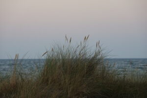 Abendstimmung in den Dünen - Ostseebad Kühlungsborn