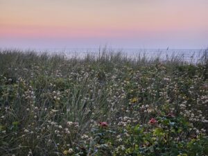 Abendstimmung in den Dünen - Ostseebad Kühlungsborn I