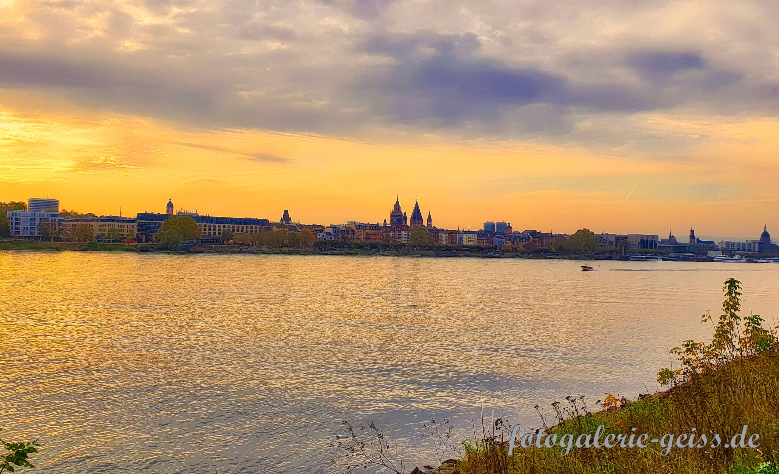 Blick auf Mainz von der Kostheimer Maaraue aus