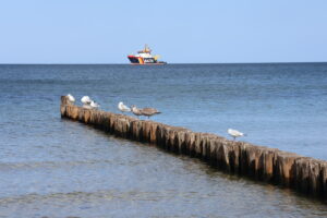 Buhnen am Strand von Kühlungsborn