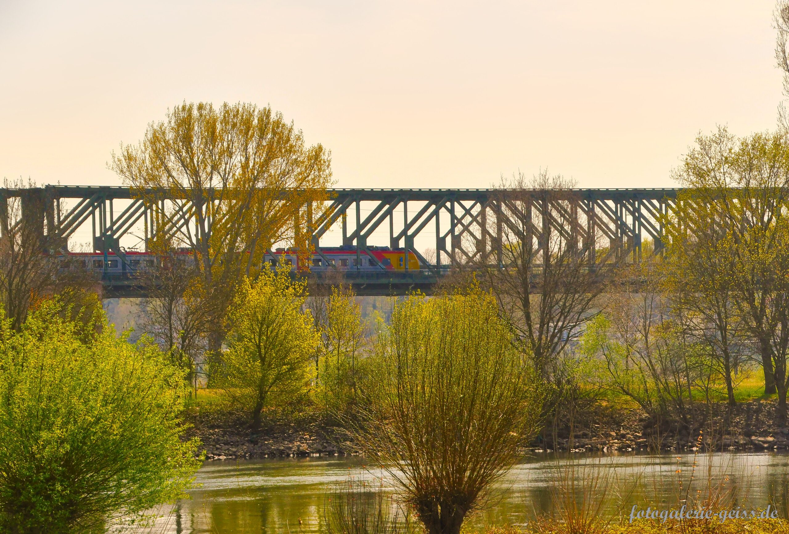 Eisenbahn auf der Brücke von Gustavsburg nach Mainz