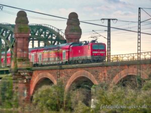 Eisenbahnbrücke Gustavsburg mit Zug