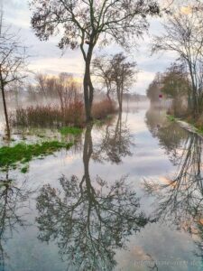 Hochwasser auf der Maaraue Kostheim vor dem Trainingsgelände des TVK