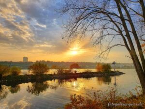 Mainmündung in den Rhein