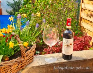 Wein mit Glas auf dem Grill im Garten