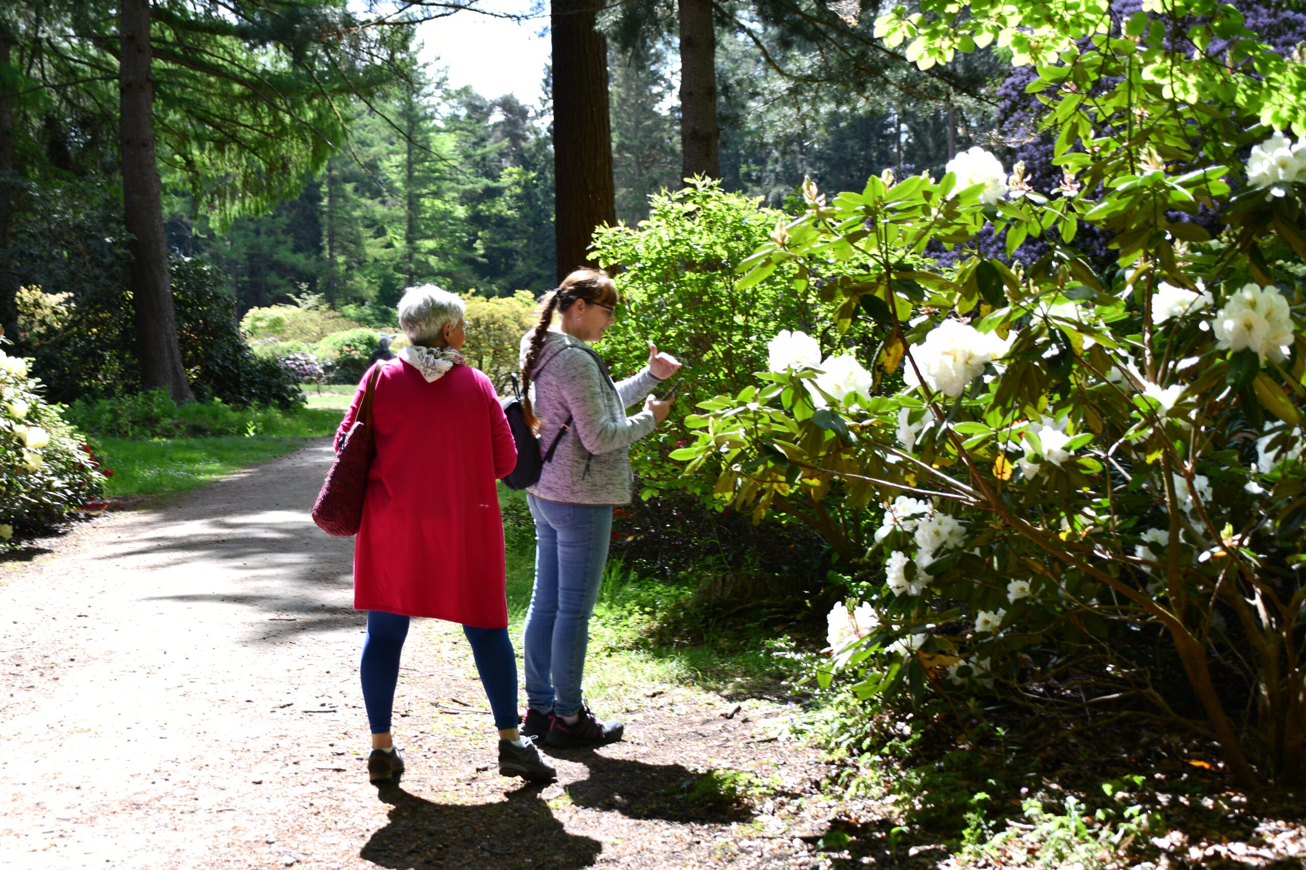 meine Schwester und Manuela im Rhododendronpark Hobbie