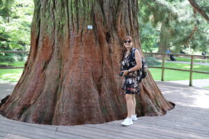 Manuela vor einem Bergmammutbaum auf der Insel Mainau im Bodensee - Juli 2023_34