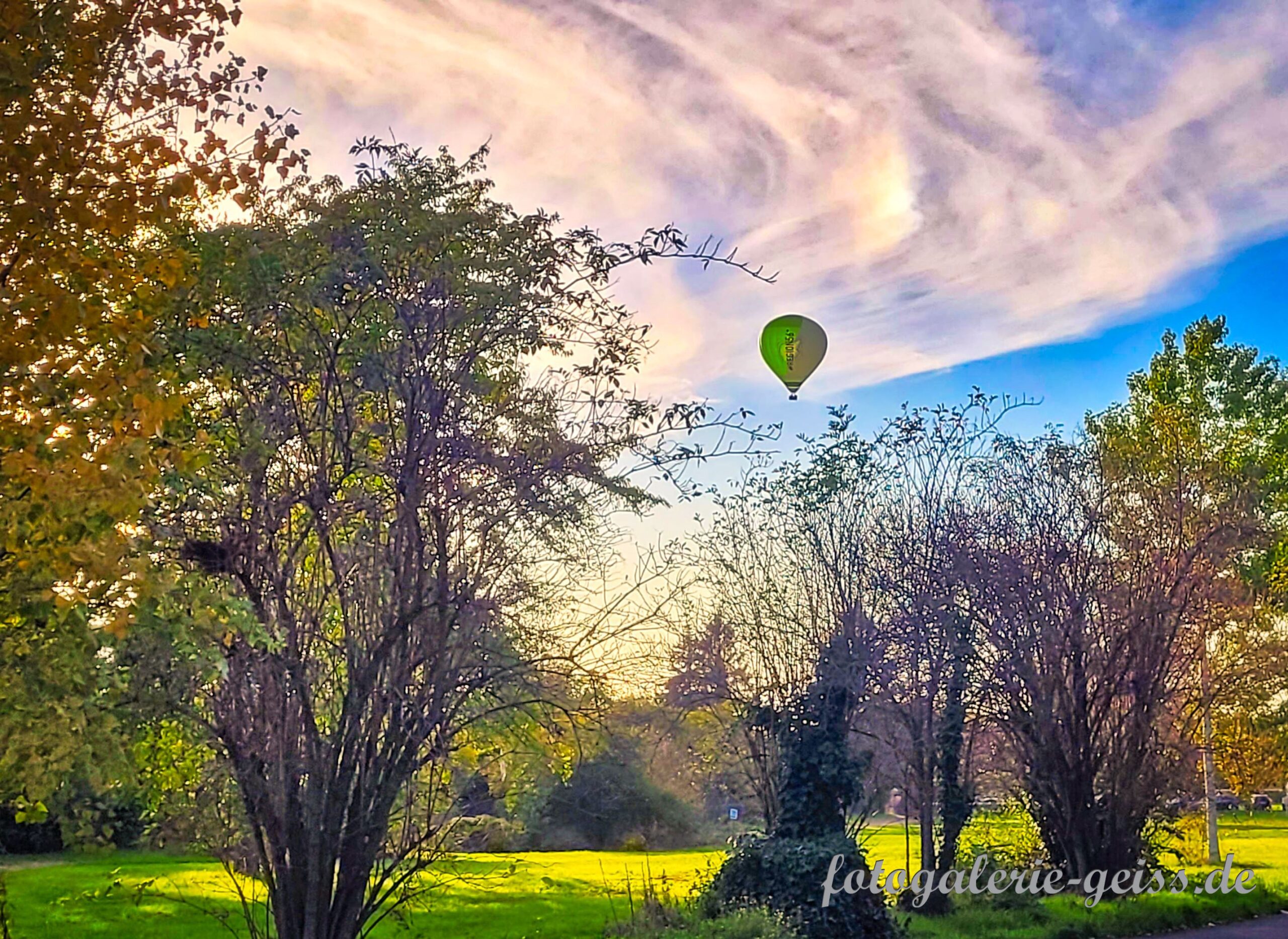 Ein Ballon über der Mainz-Kostheimer Maaraue
