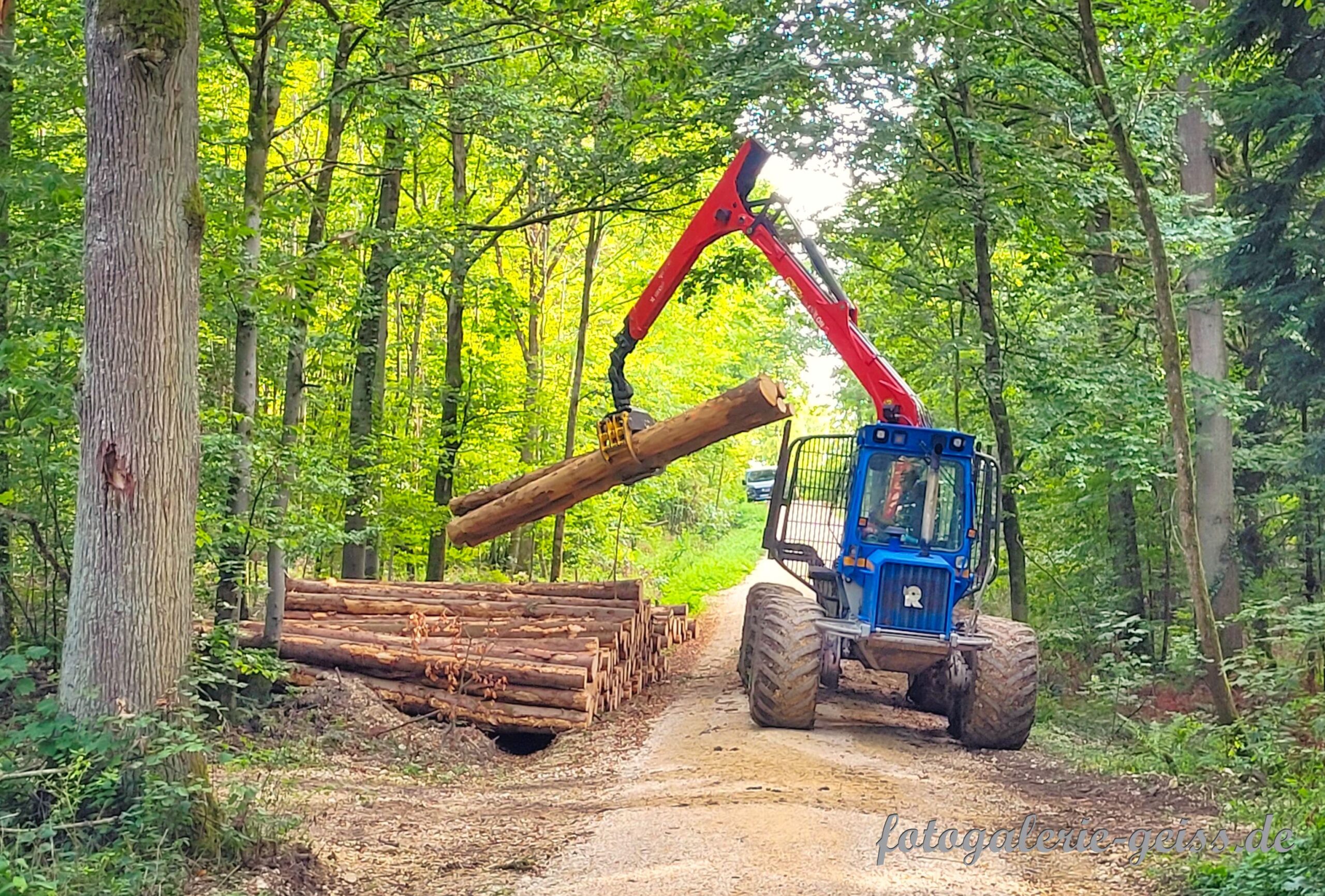 Forstarbeiter beim Holz abladen in der nähe des Linsenholzsee bei Göppingen