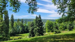 Insel Mainau im Bodensee - Juli 2023_38_1