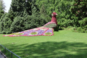 Insel Mainau im Bodensee - Juli 2023_82