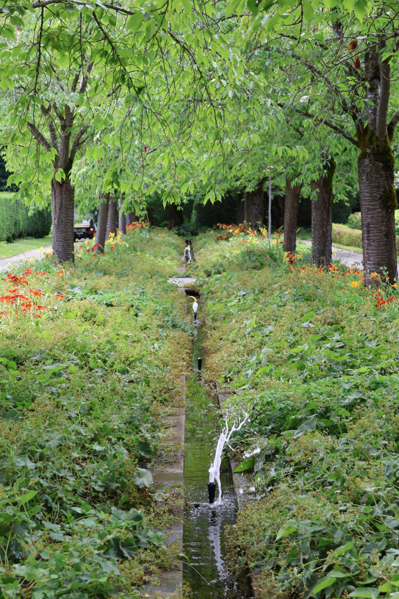 Kloster und Schloss Salem - Bodensee - Juli 2023_128