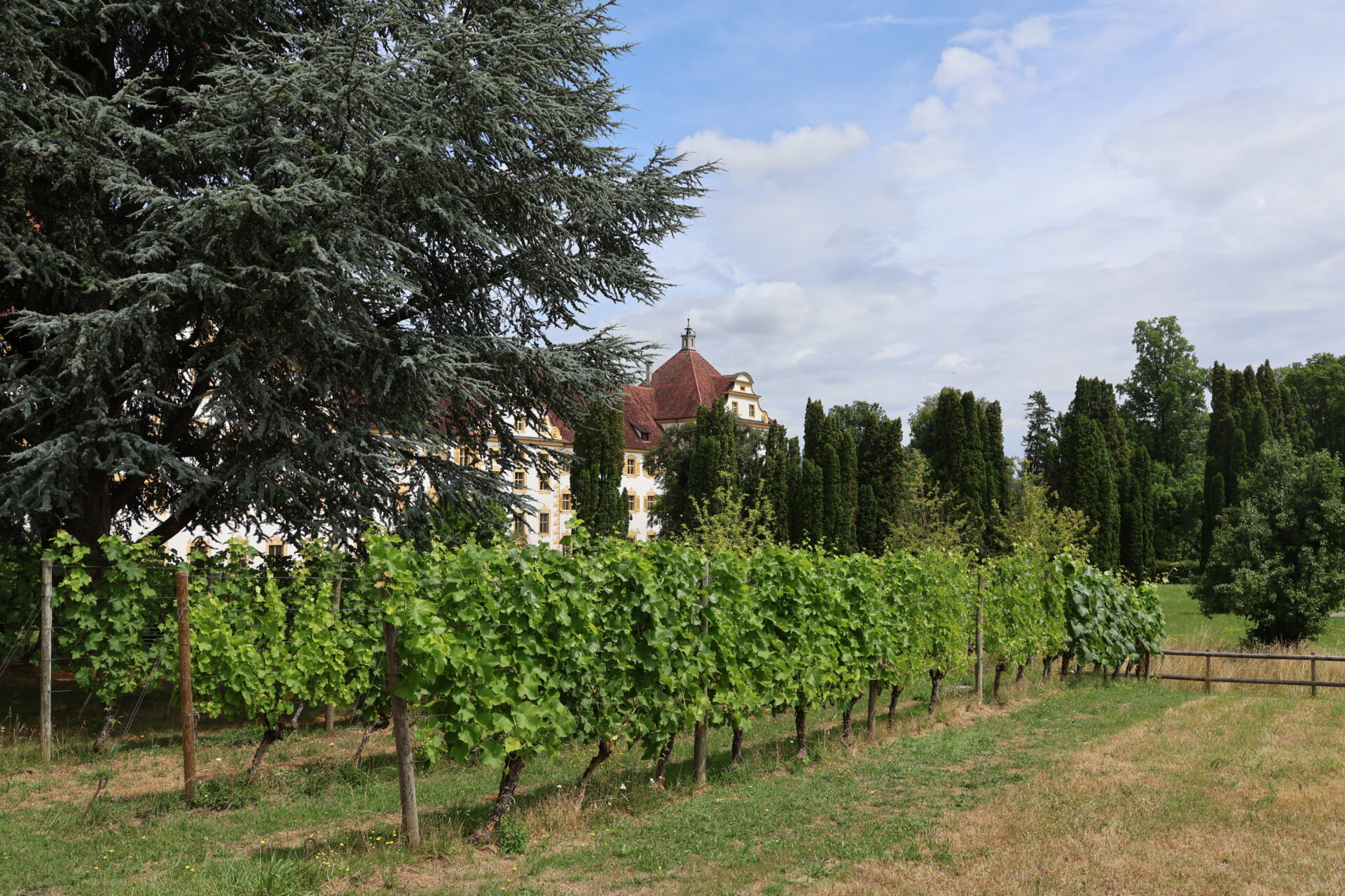 Kloster und Schloss Salem - Bodensee - Juli 2023_79
