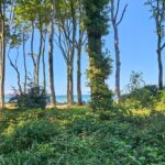 Blick Richtung Küste Nienhagen