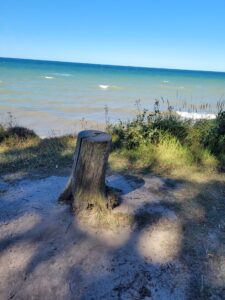 Blick auf die Ostsee im Gespensterwald Nienhagen