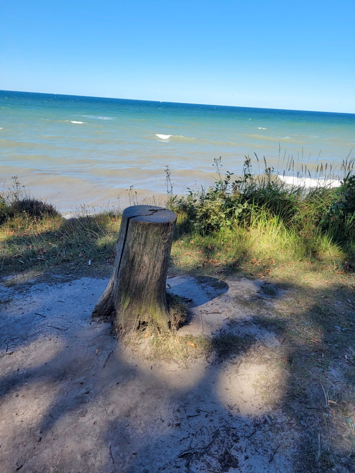 Blick auf die Ostsee im Gespensterwald Nienhagen