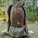 Eule im Gespensterwald Nienhagen