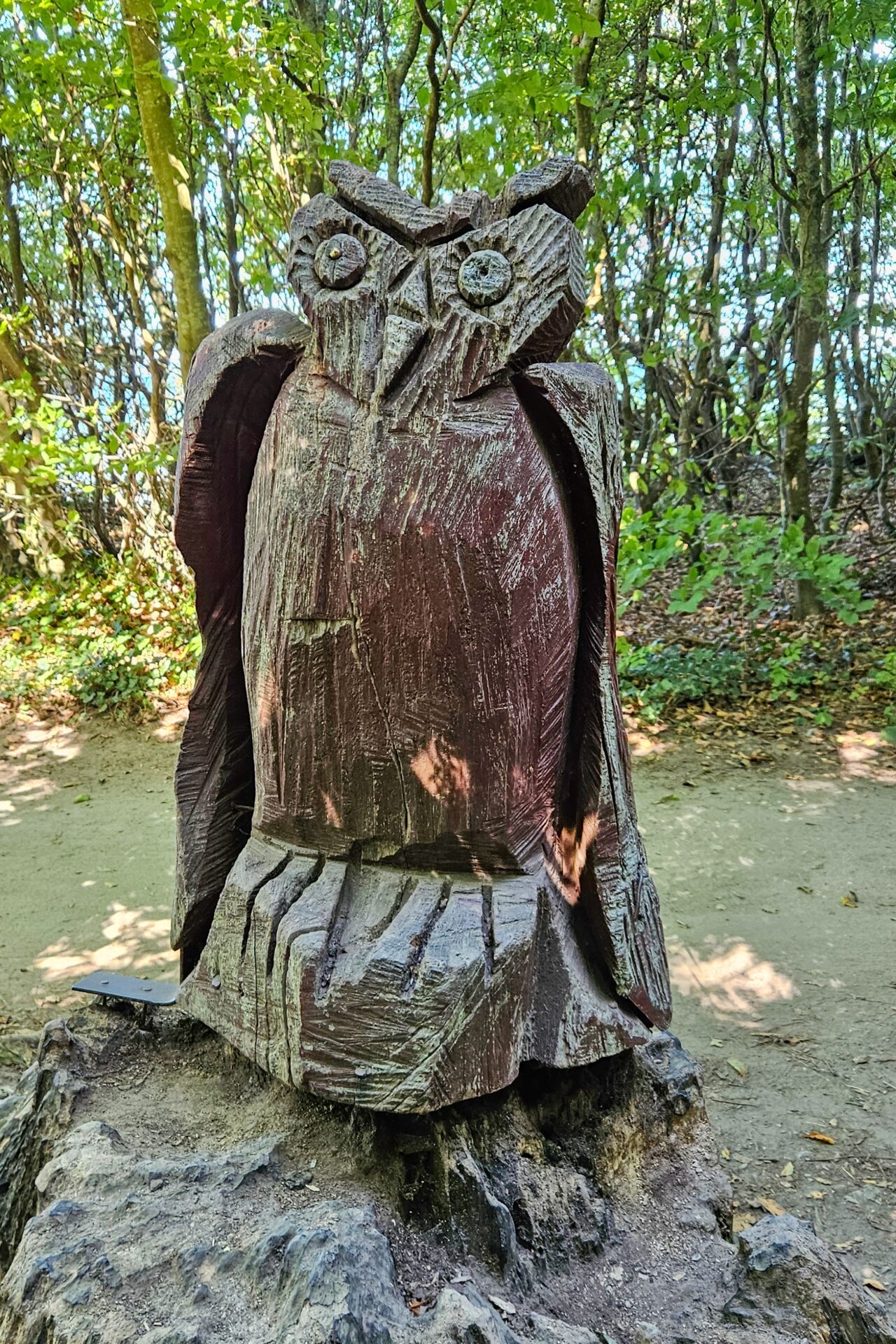 Eule im Gespensterwald Nienhagen