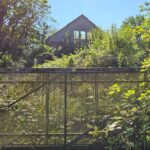 Ruine im Nienhäger Horst
