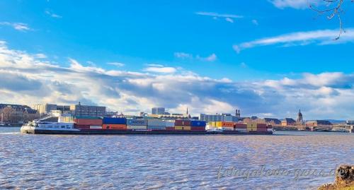 Containerschiff-auf-dem-Rhein-vor-Mainz-Kopie