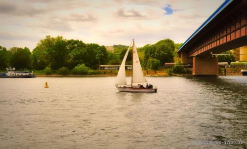 Segelboot-auf-dem-Rhein
